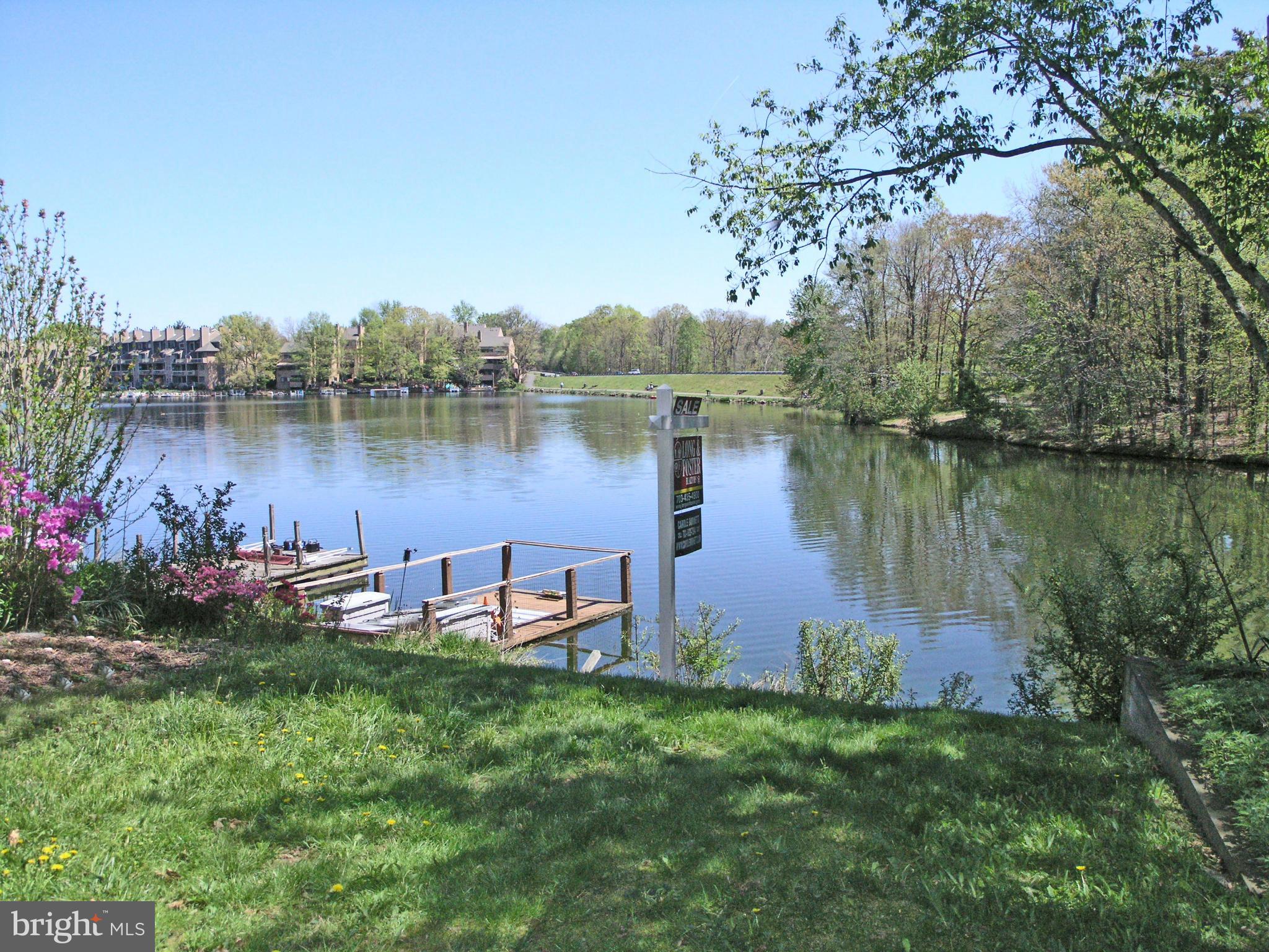 11204 Lagoon Lane Reston, VA 20191 - Photo 25 of 30 a body of water with a tree in the background