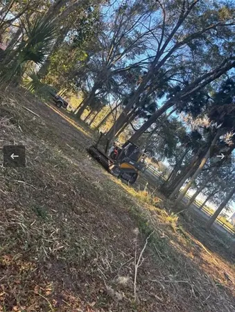 a view of backyard with tree