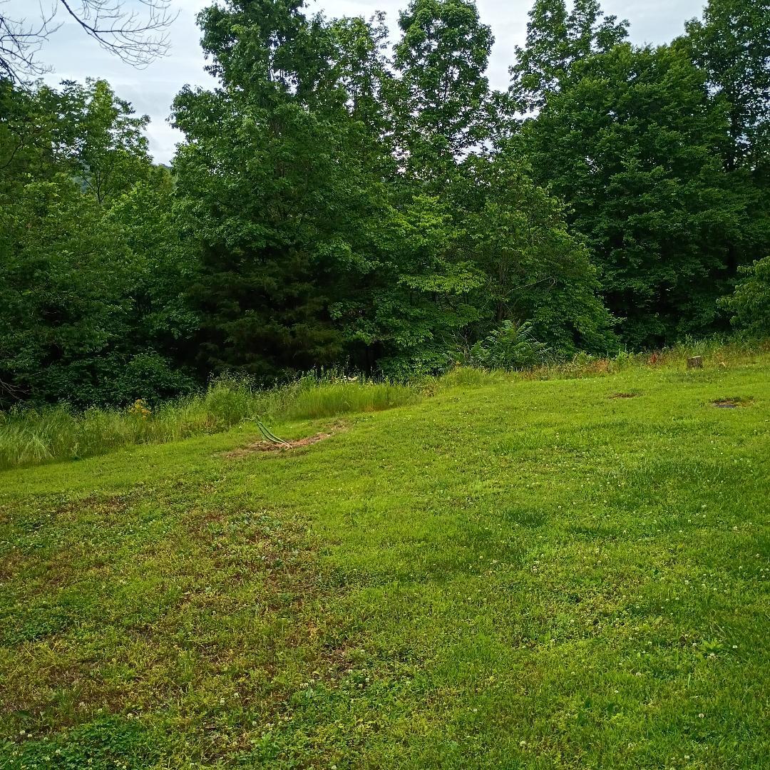 273 South Burke Road Monticello, KY 42633 - Photo 18 of 42 thumbnail 23