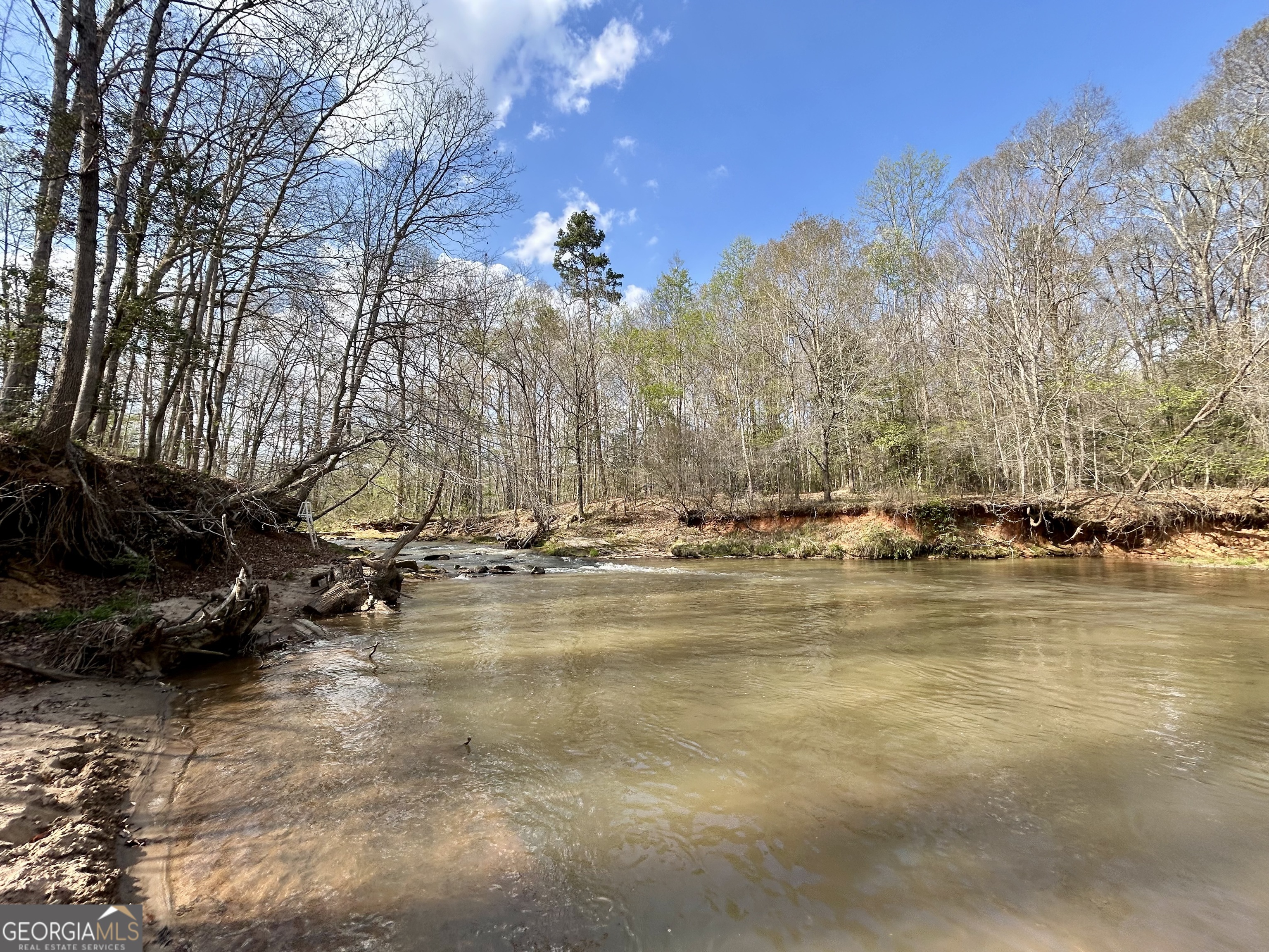 631 Jim Grizzle Road Royston, GA 30662 - Photo 11 of 18