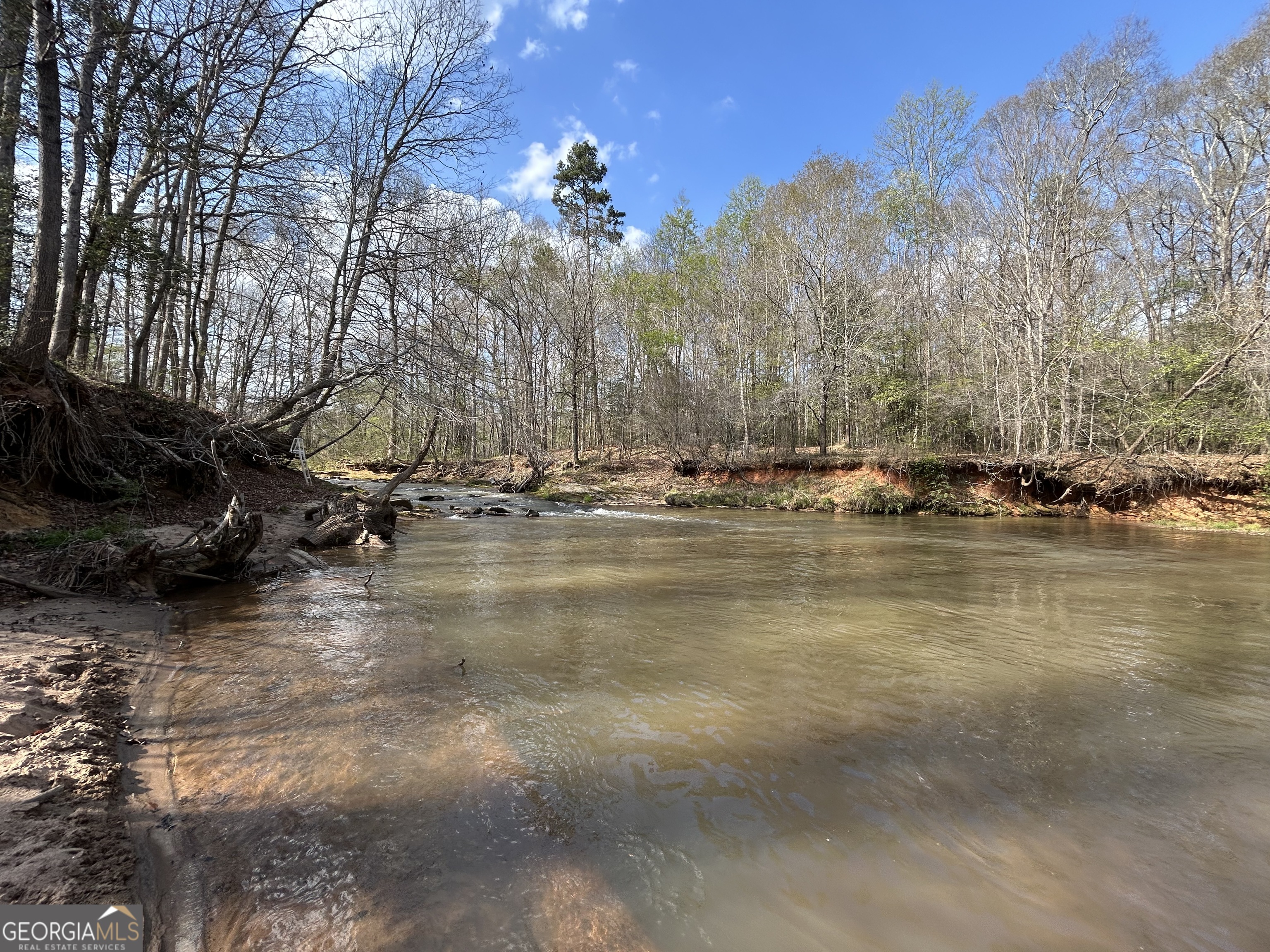 631 Jim Grizzle Road Royston, GA 30662 - Photo 12 of 18