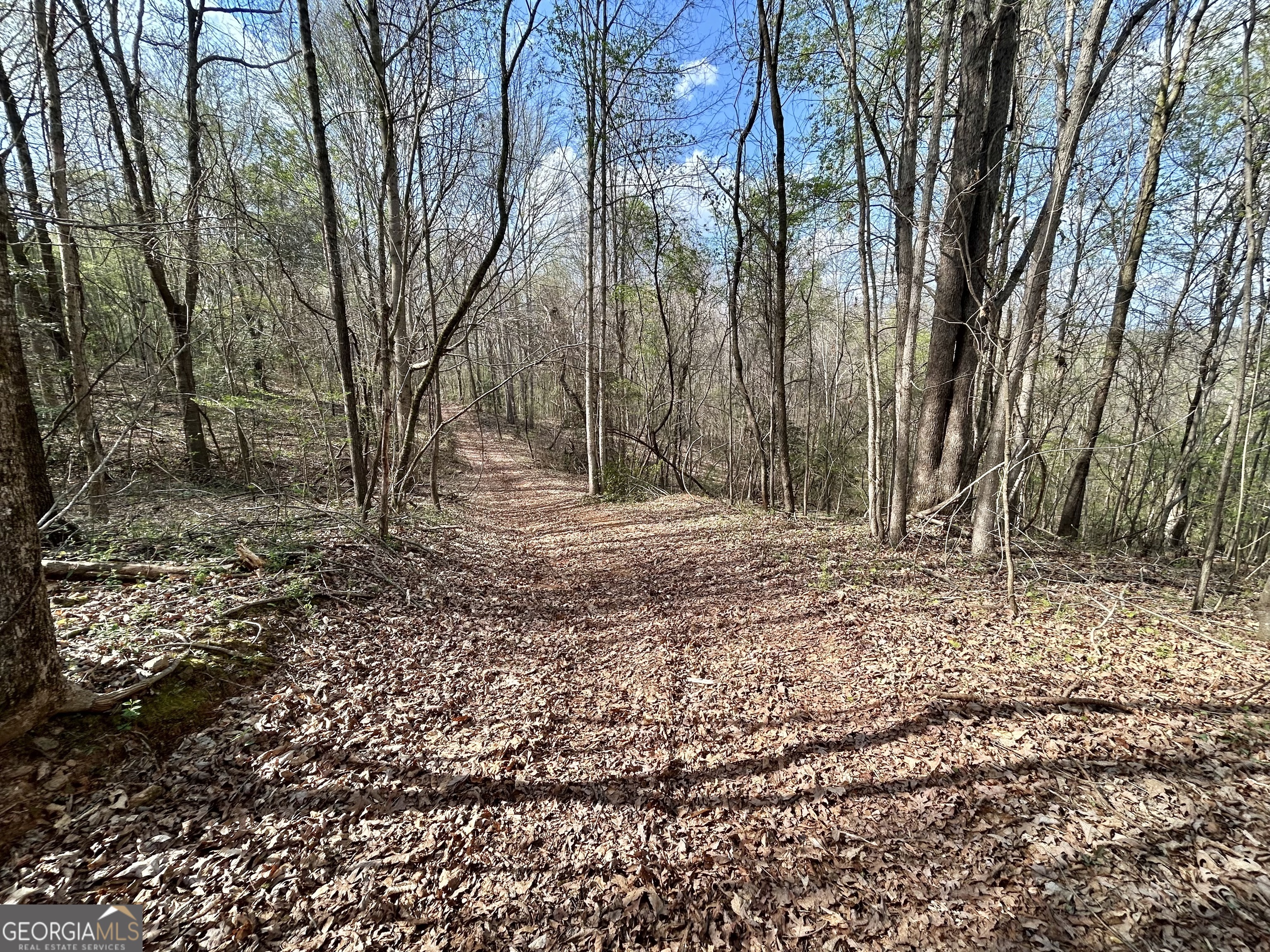 631 Jim Grizzle Road Royston, GA 30662 - Photo 2 of 18