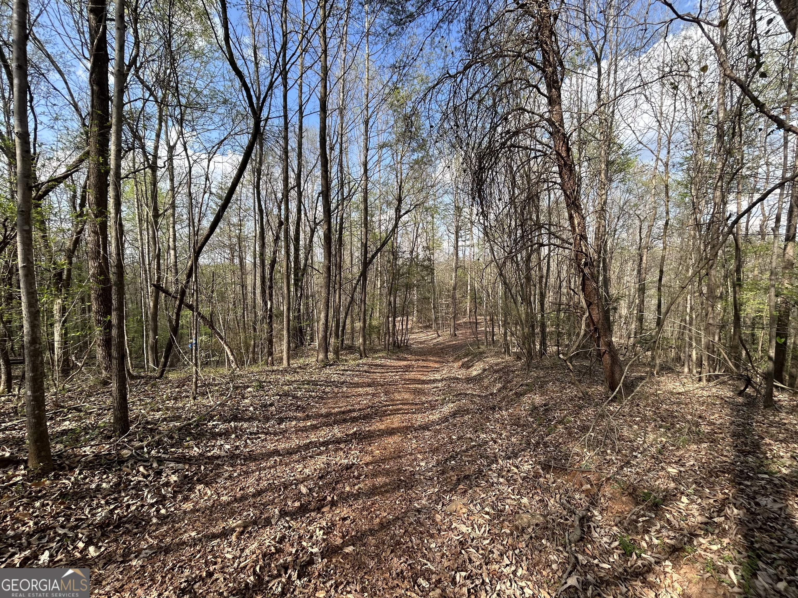 631 Jim Grizzle Road Royston, GA 30662 - Photo 3 of 18