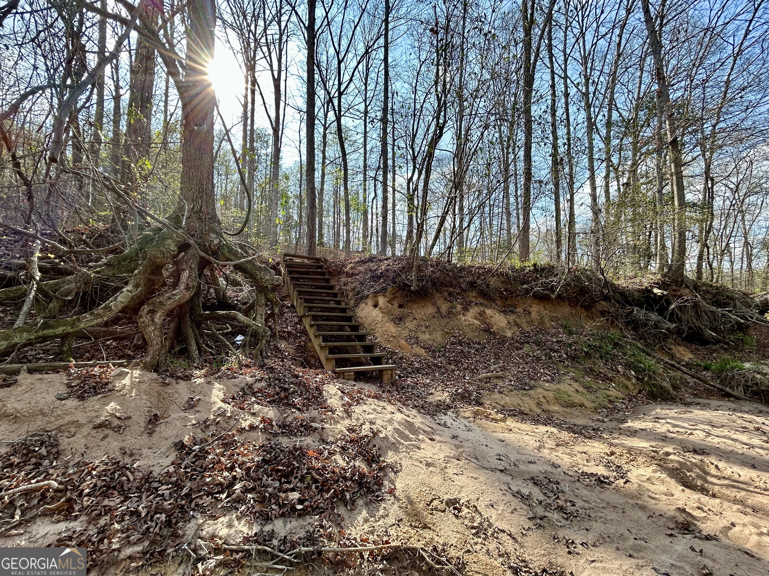 631 Jim Grizzle Road Royston, GA 30662 - Photo 4 of 18