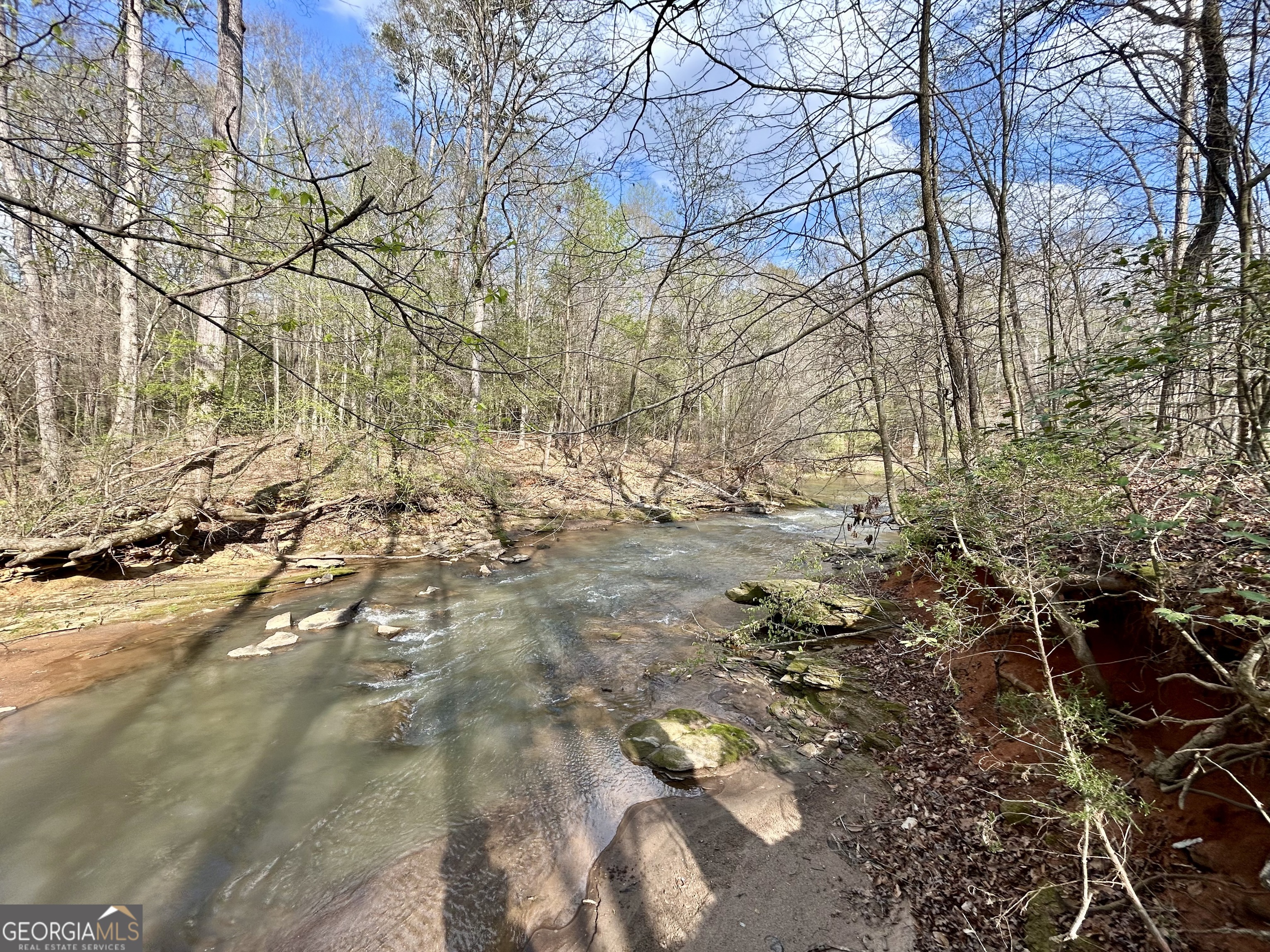 631 Jim Grizzle Road Royston, GA 30662 - Photo 5 of 18