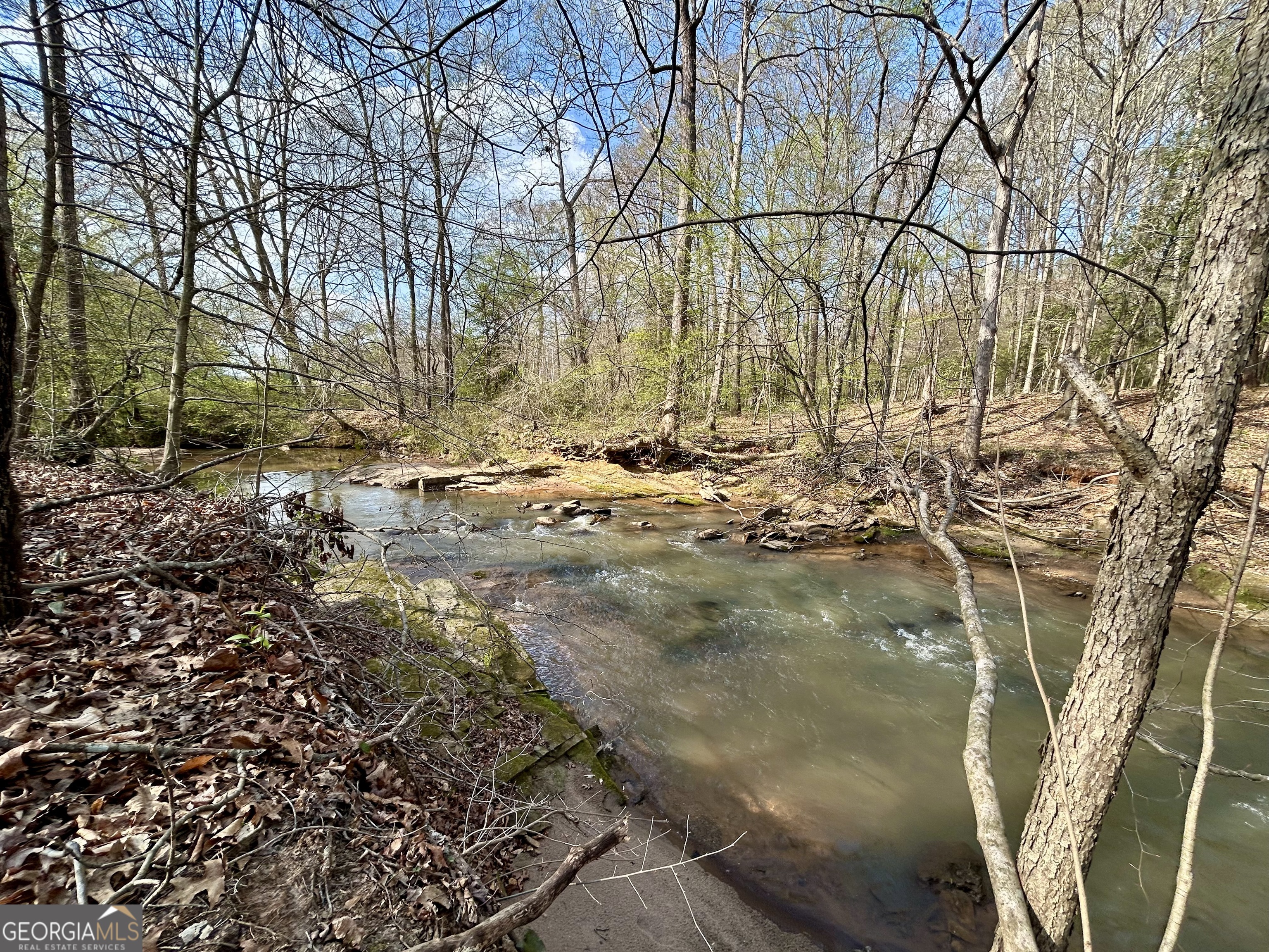 631 Jim Grizzle Road Royston, GA 30662 - Photo 6 of 18