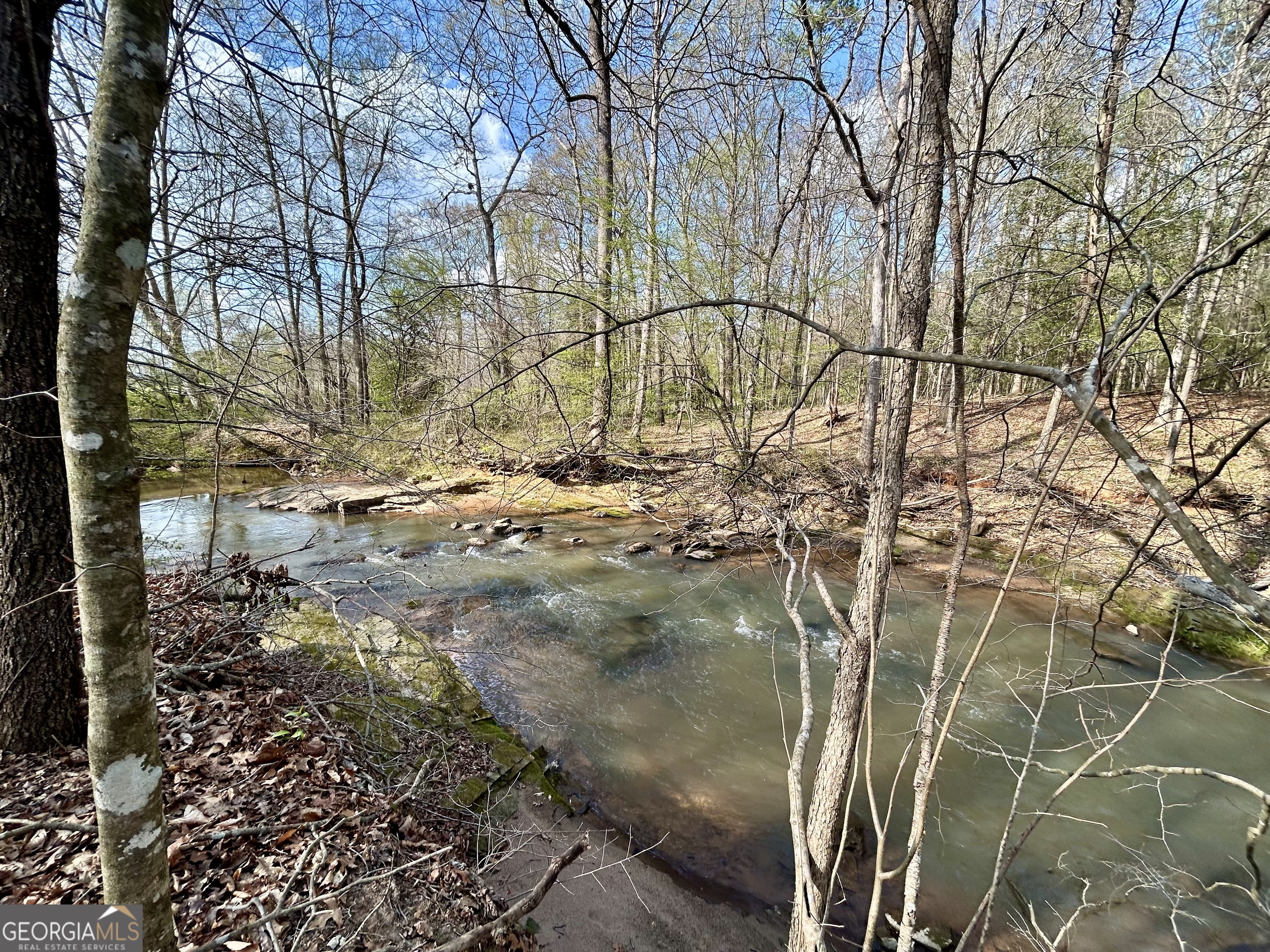 631 Jim Grizzle Road Royston, GA 30662 - Photo 7 of 18