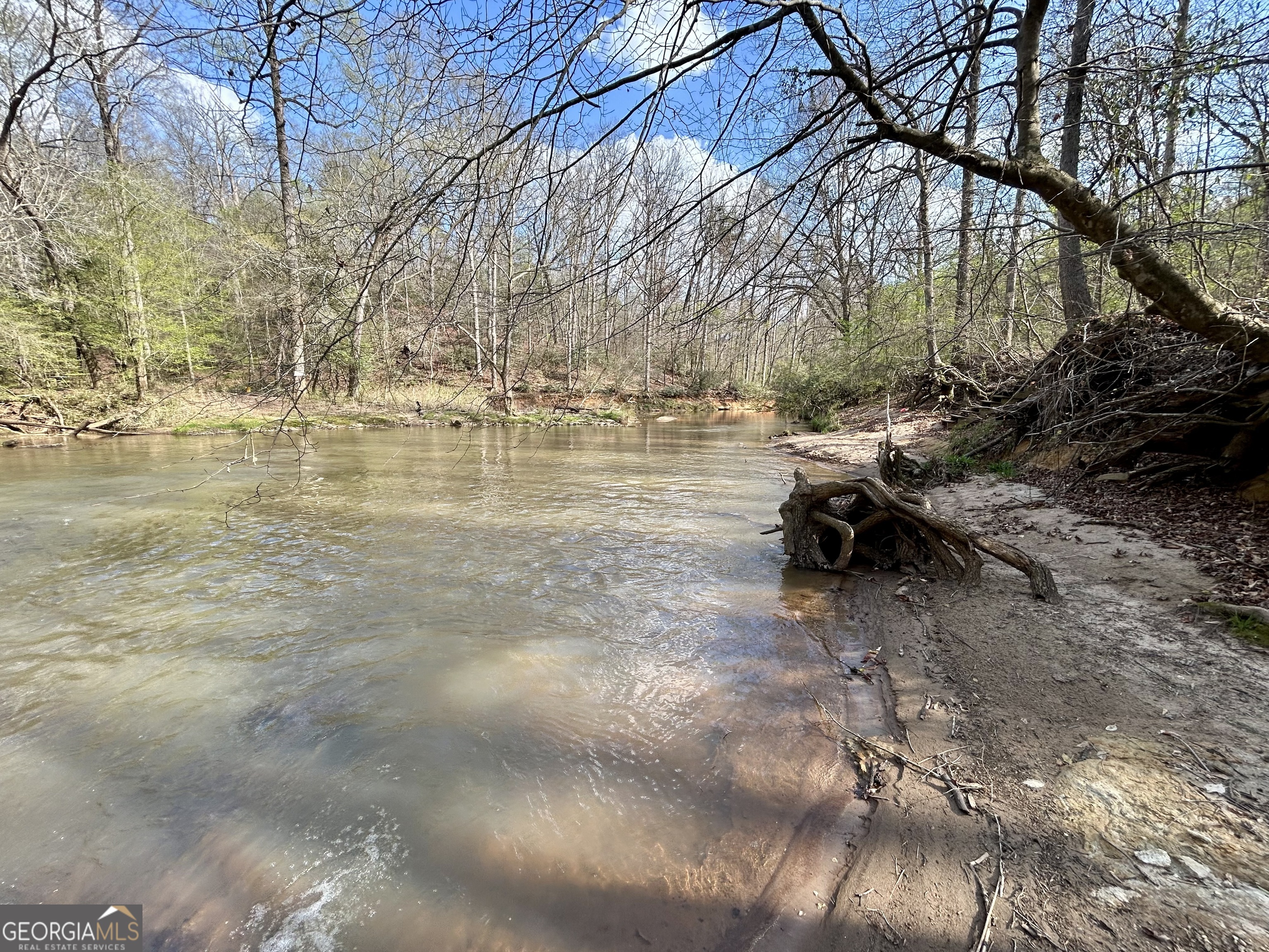 631 Jim Grizzle Road Royston, GA 30662 - Photo 9 of 18