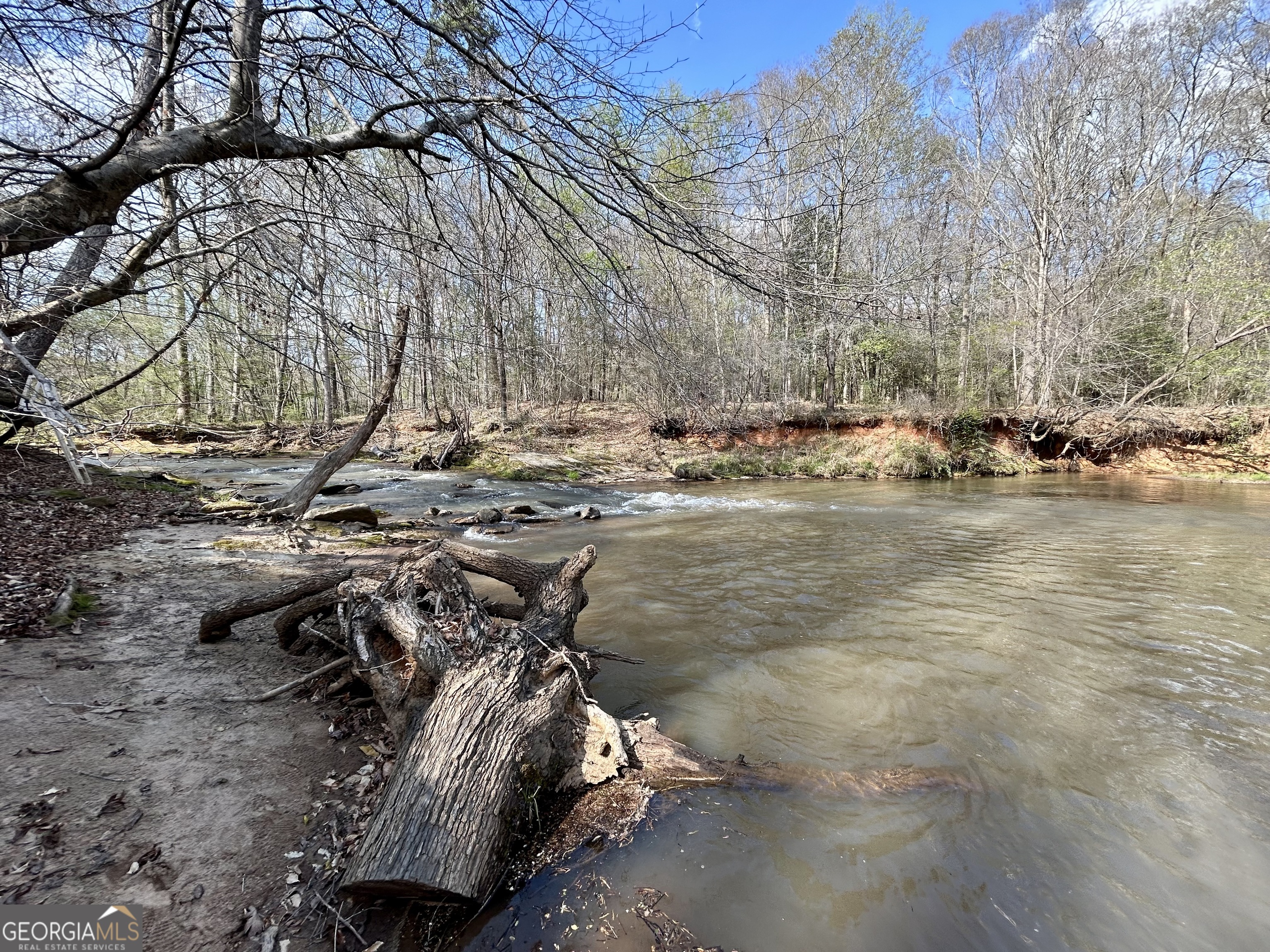 631 Jim Grizzle Road Royston, GA 30662 - Photo 10 of 18