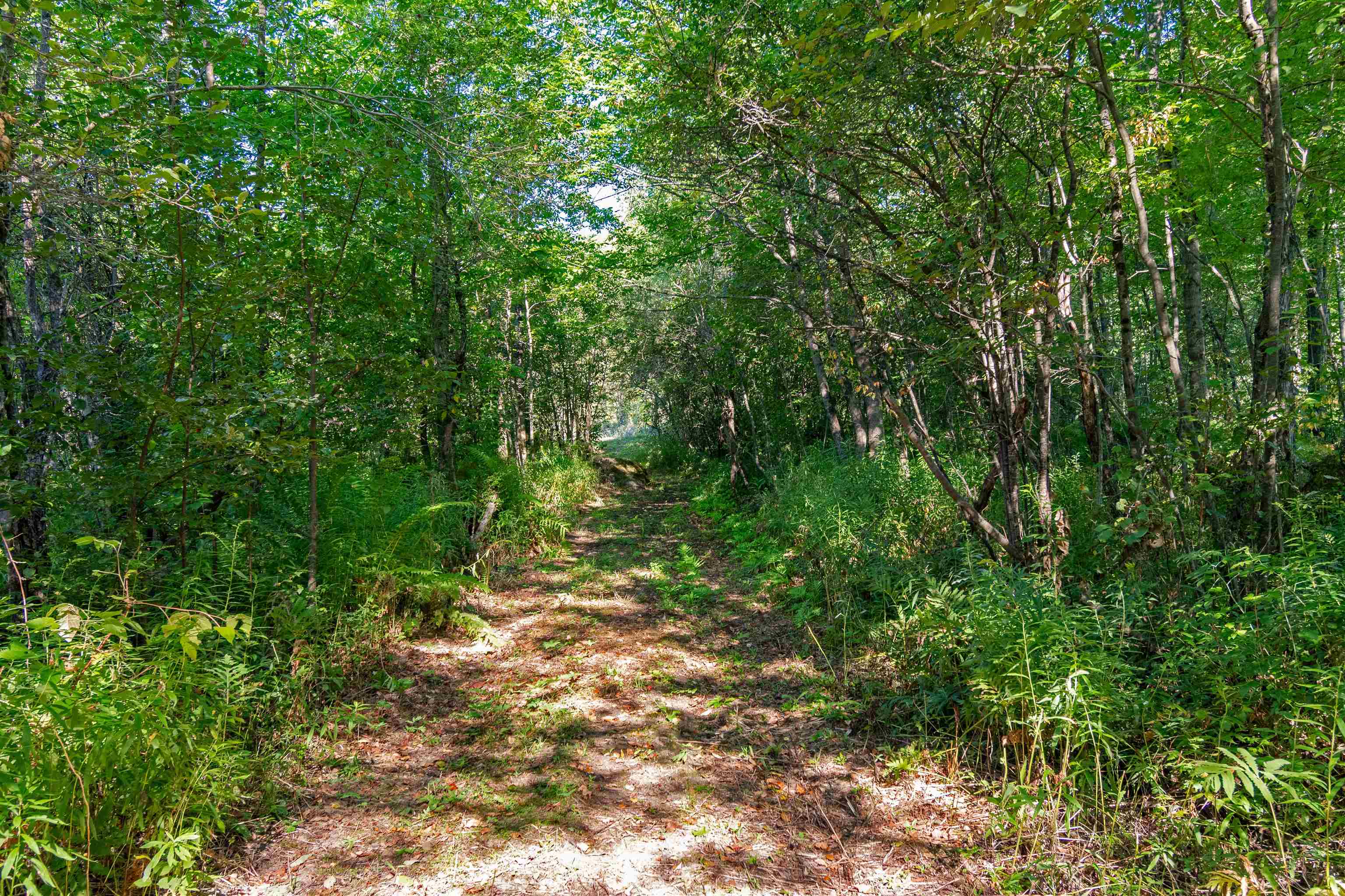 0 Sam Webb Road Fairfax, VT 05454 - Photo 18 of 28