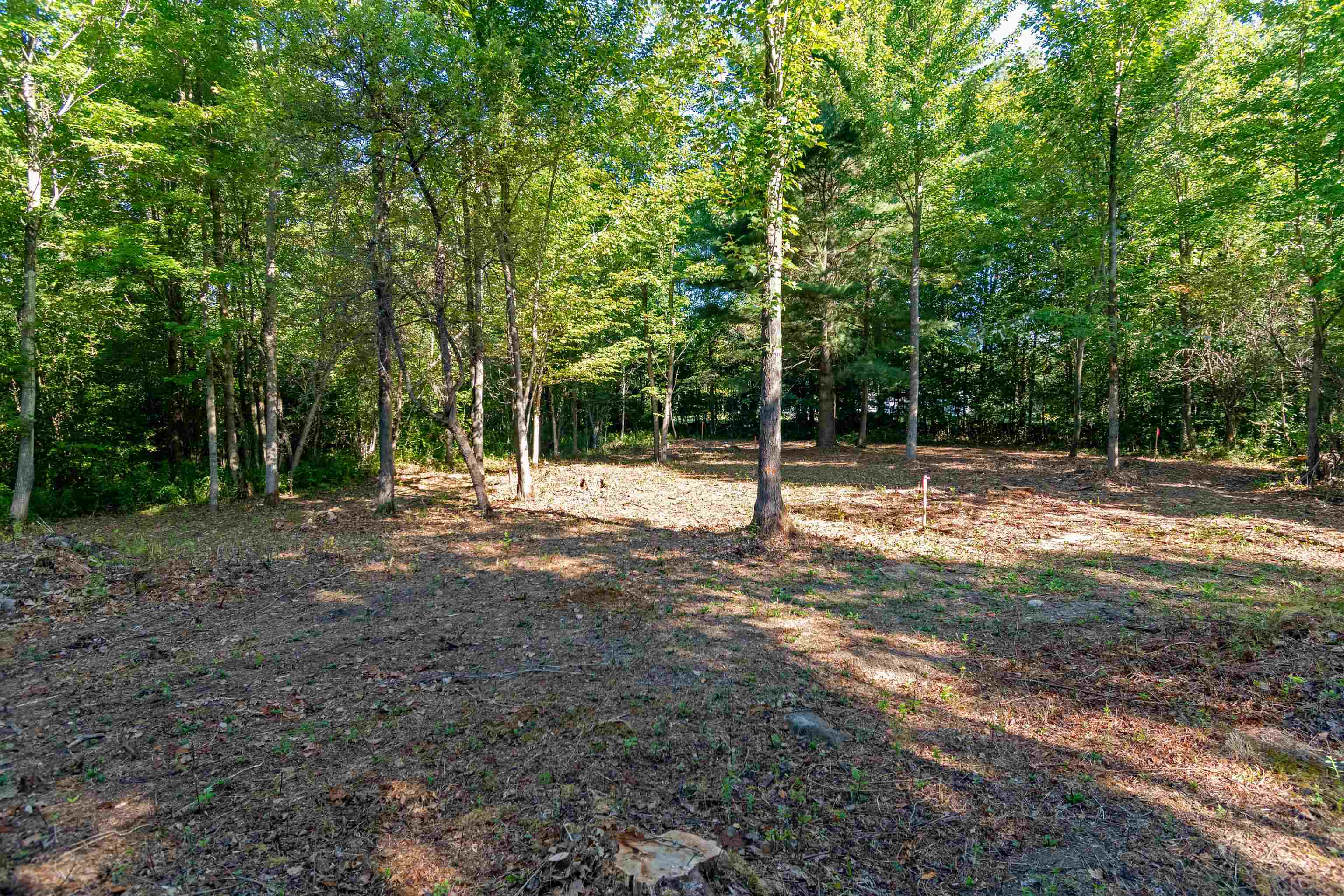 0 Sam Webb Road Fairfax, VT 05454 - Photo 25 of 28