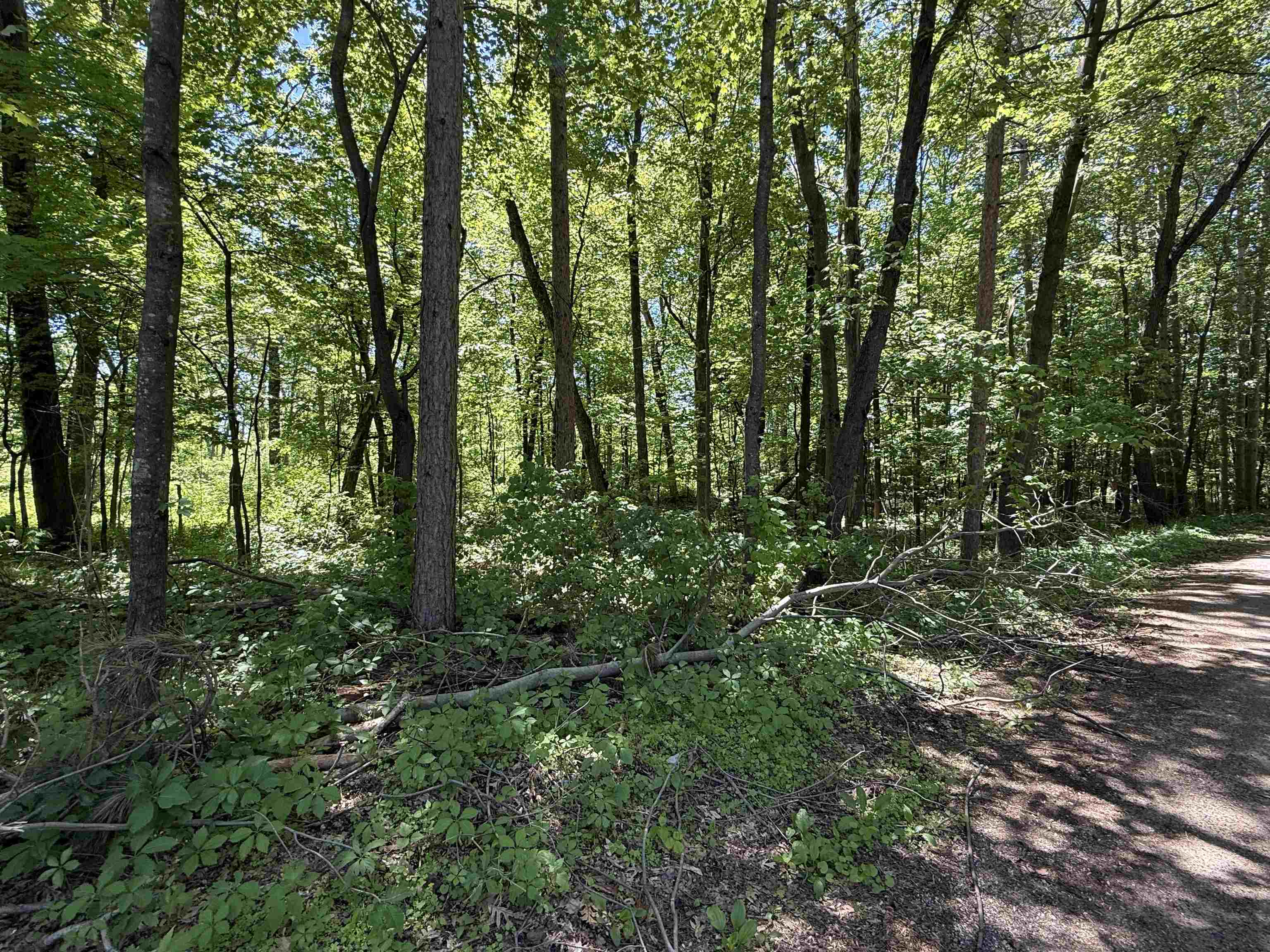 Lot 16 Arrowhead Road Amherst Junction, WI 54407 - Photo 12 of 17