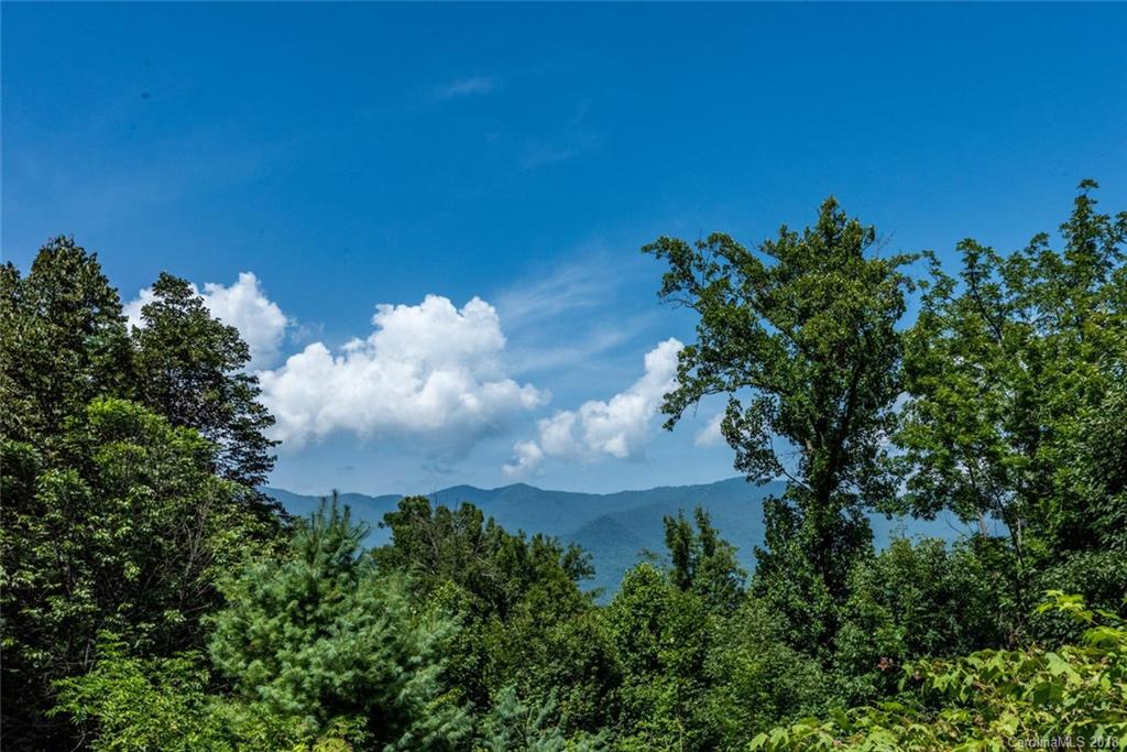 346 East Reach Road, Unit 131 Sylva, NC 28779 - Photo 34 of 34 Gallery Image 34