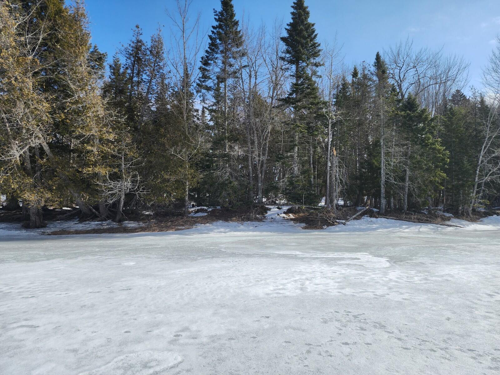 Lot 2 Haynes Road Wytopitlock, ME 04497 - Photo 12 of 16 20230320_104033