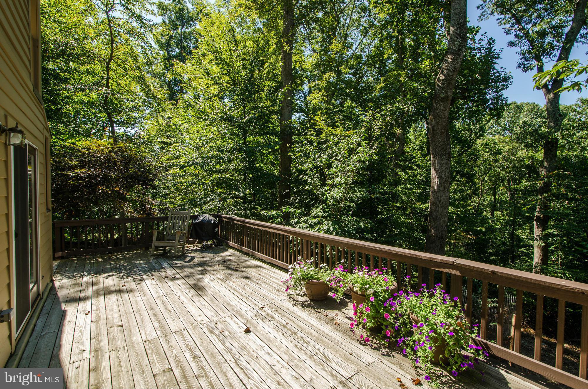 11500 Glen Road Potomac, MD 20854 - Photo 29 of 30 Rear deck and view toward bird sanctuary