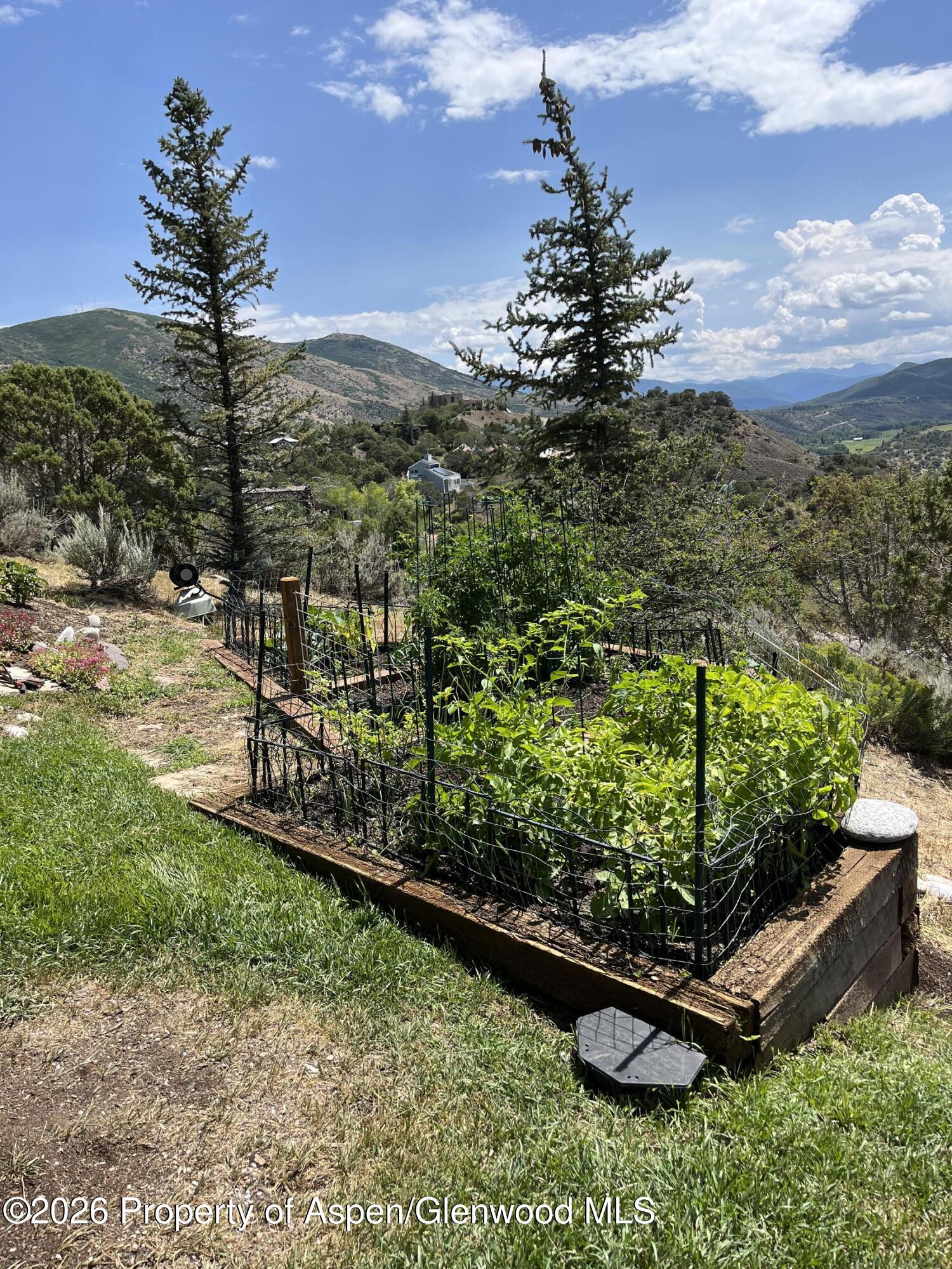 234 Light Hill Road Snowmass, CO 81654 - Photo 27 of 29 234 Veggie Garden