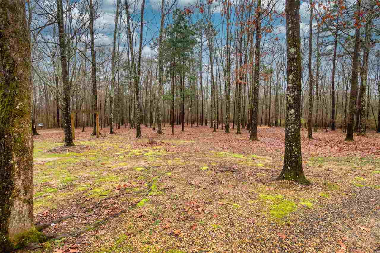 2135 McFarland Road Raymond, MS 39154 - Photo 30 of 39 Photo 30