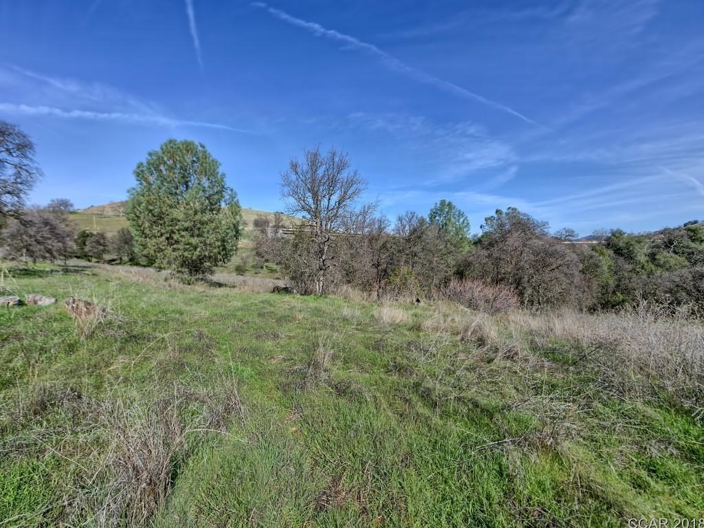670 Murphys Grade Road Angels Camp, CA 95222 - Photo 12 of 27 a view of a yard with an outdoor space and seating