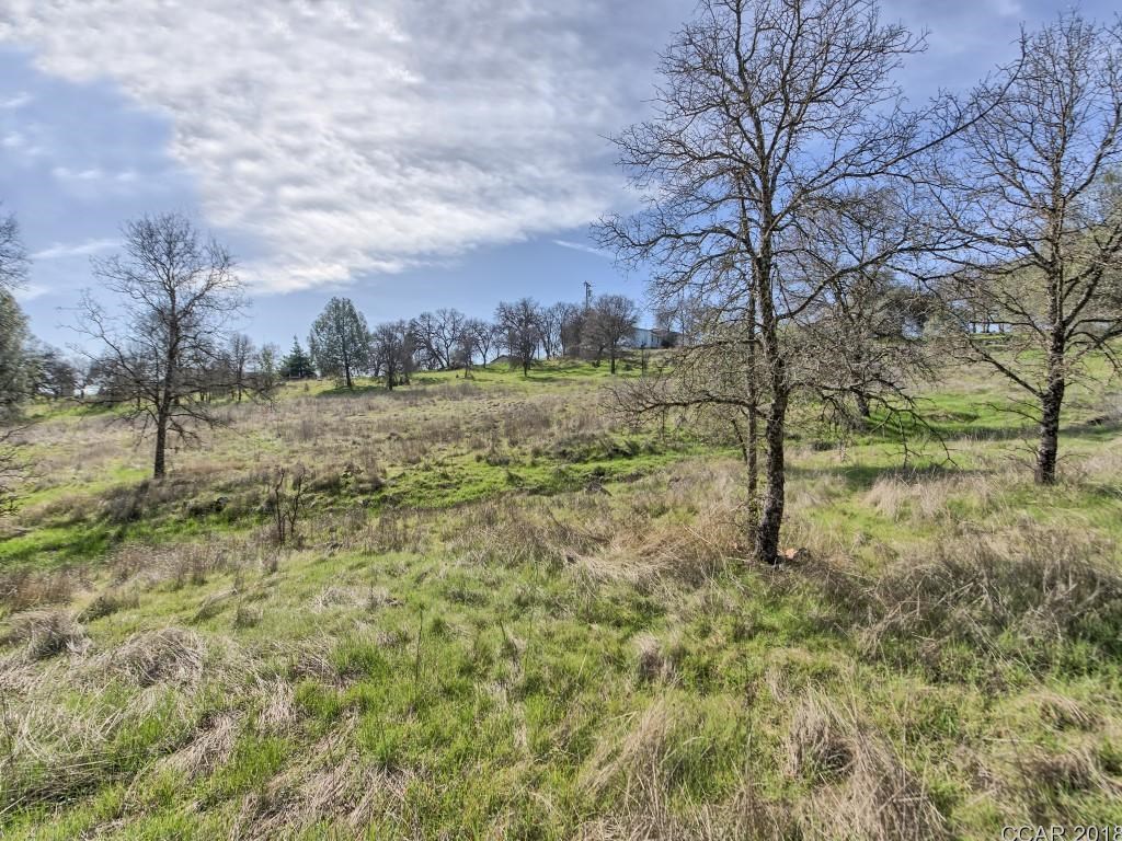 670 Murphys Grade Road Angels Camp, CA 95222 - Photo 16 of 27 a view of a yard with trees