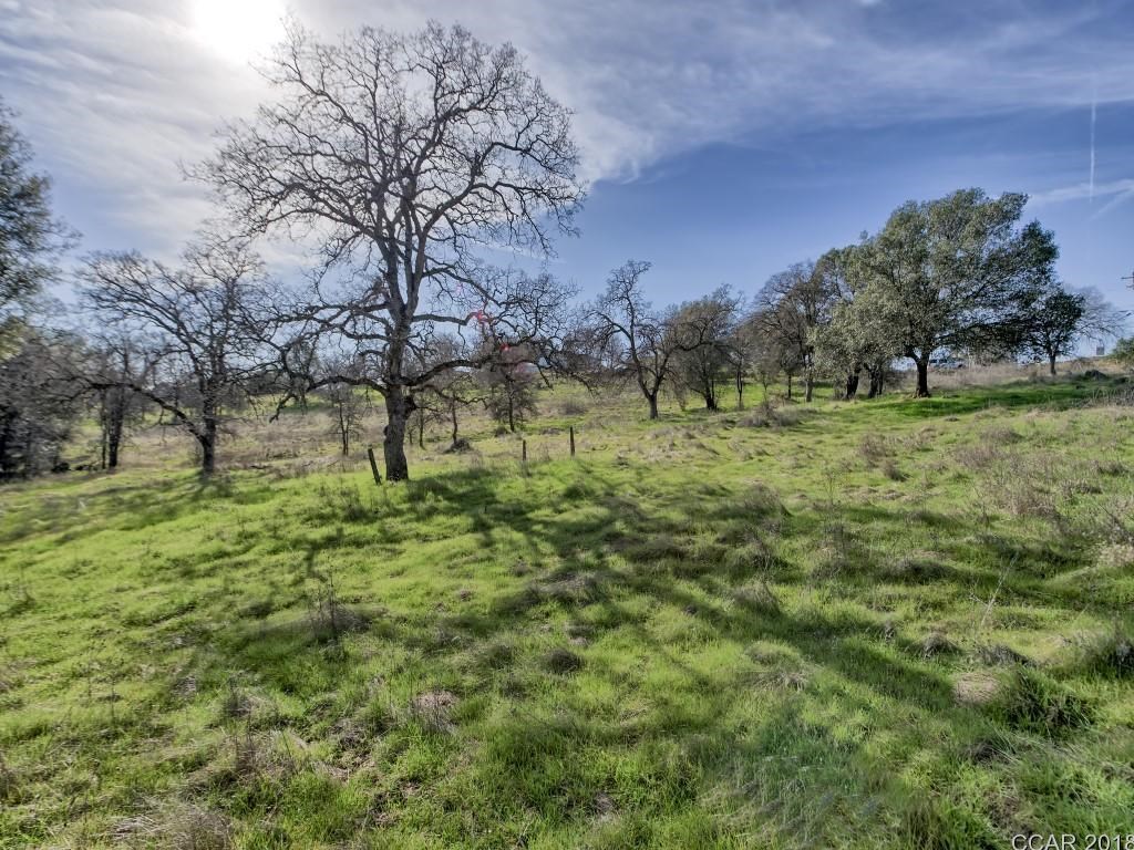 670 Murphys Grade Road Angels Camp, CA 95222 - Photo 17 of 27 a view of outdoor space with city view