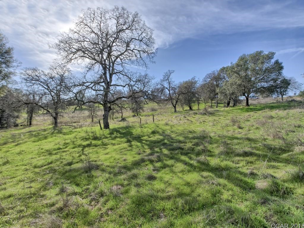 670 Murphys Grade Road Angels Camp, CA 95222 - Photo 18 of 27 a view of garden