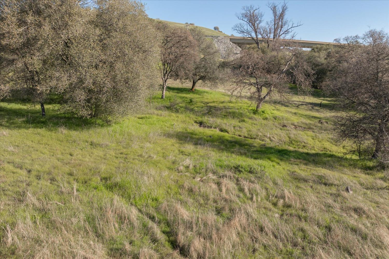 670 Murphys Grade Road Angels Camp, CA 95222 - Photo 26 of 27 a backyard of a house with lots of green space