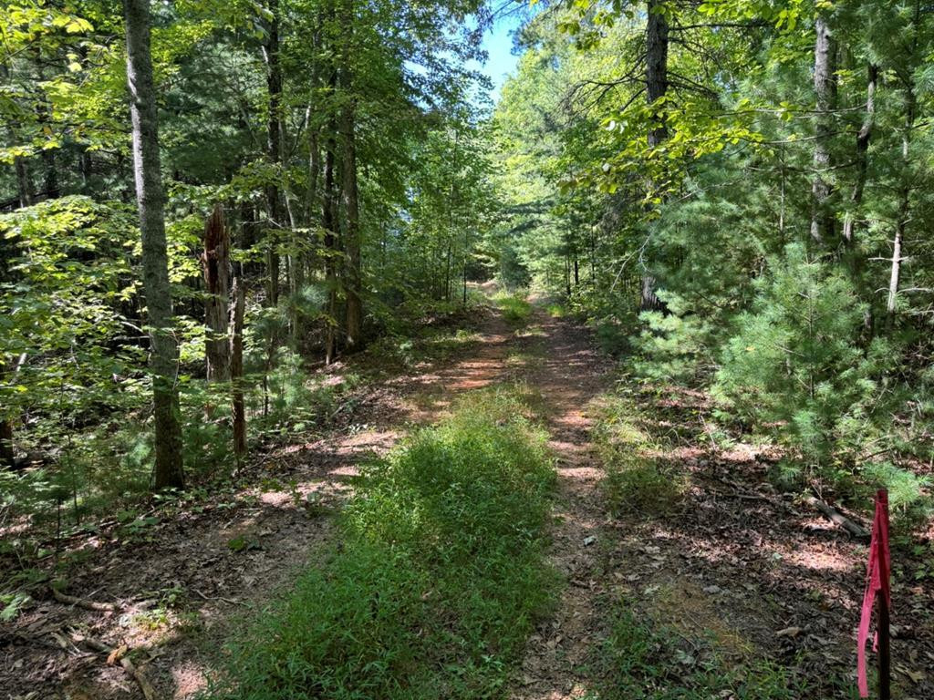 Lot 6-7 Donley Road Murphy, NC 28906 - Photo 2 of 14