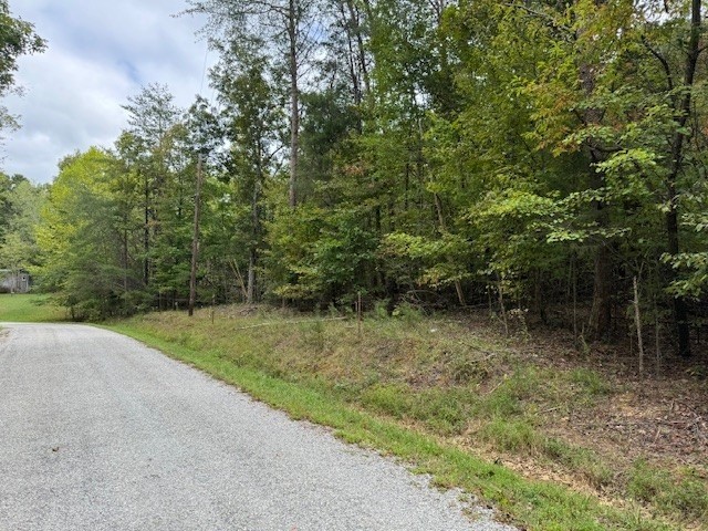 146 Till Road Hohenwald, TN 38462 - Photo 2 of 24