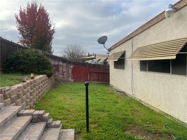 a backyard of a house with plants and large tree
