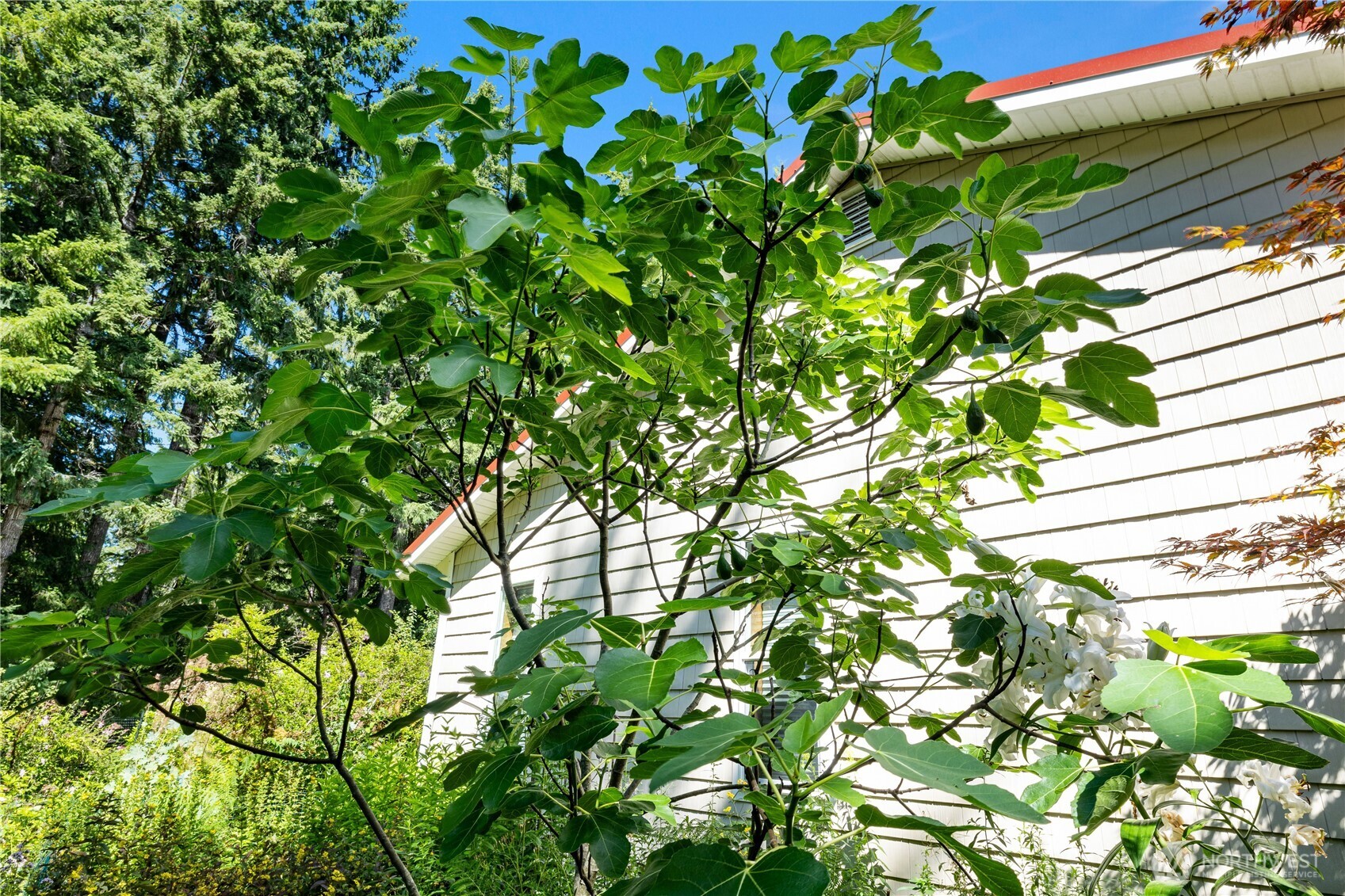 5505 Oyster Bay Road Northwest Olympia, WA 98502 - Photo 34 of 40 a backyard of a building