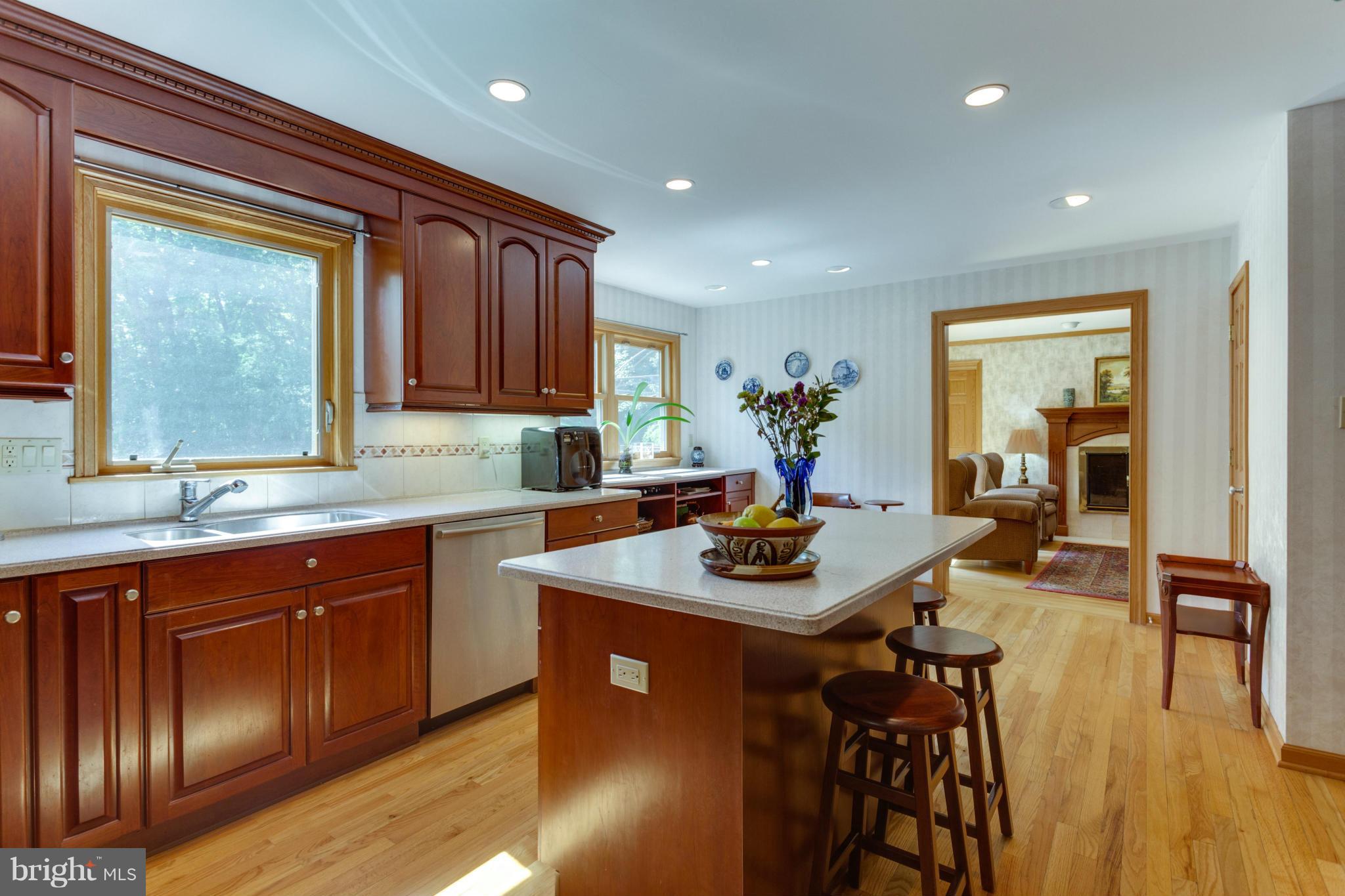Sunny Windows over Kitchen Sink