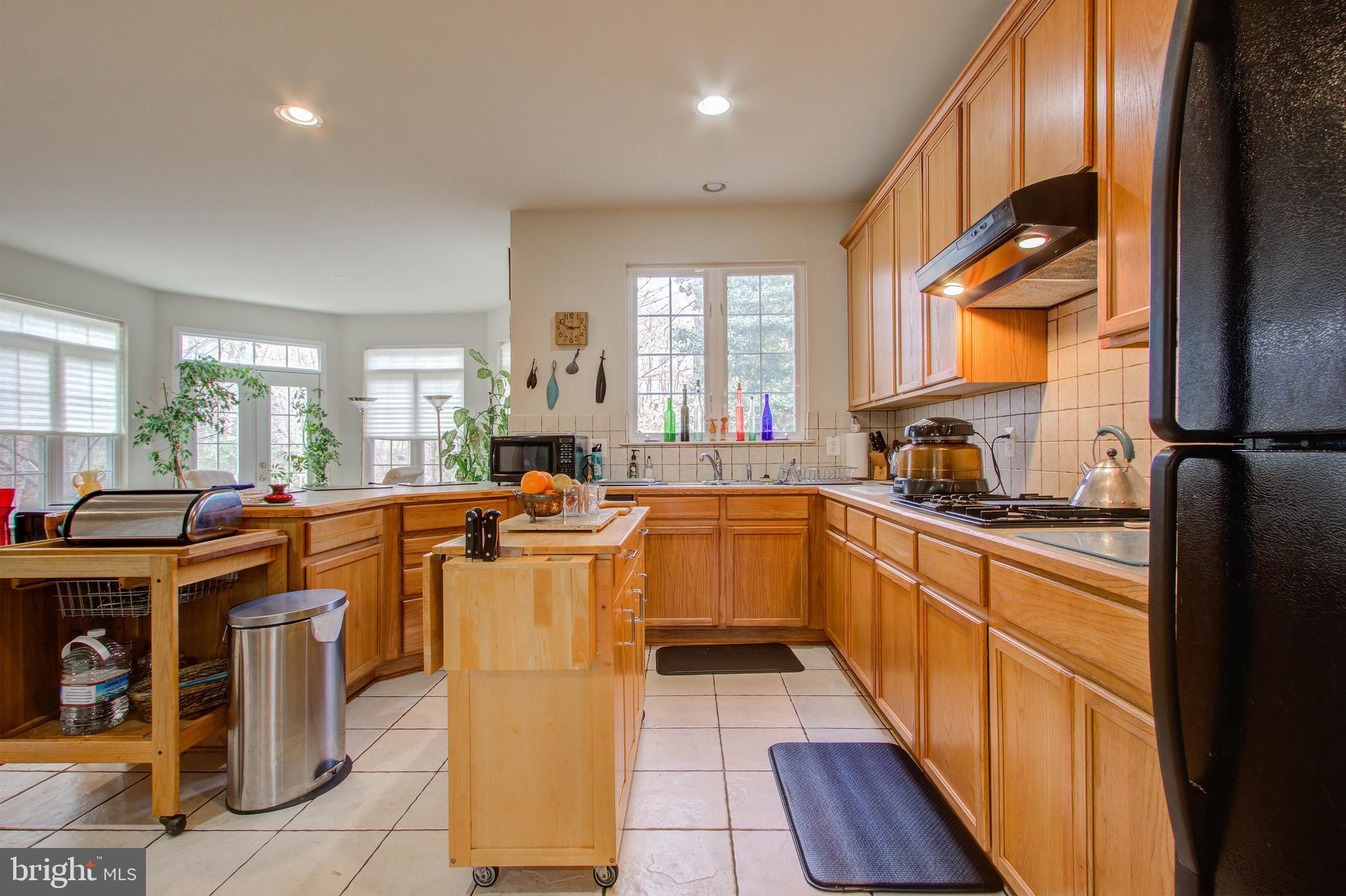 22 Rivers Edge Terrace Indian Head, MD 20640 - Photo 14 of 44 Gourmet Kitchen Plenty of Cabinet Space