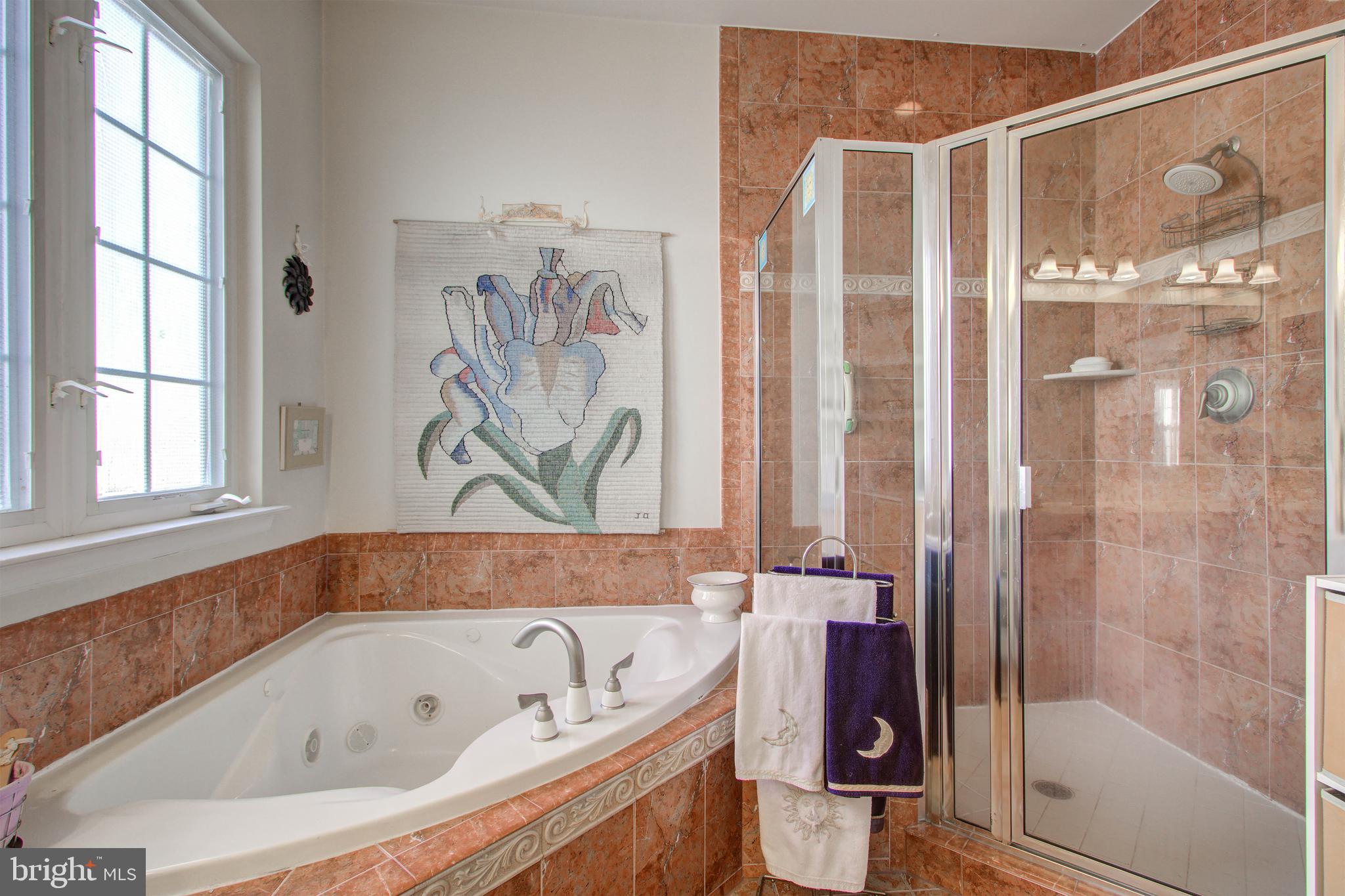 22 Rivers Edge Terrace Indian Head, MD 20640 - Photo 30 of 44 Owner's Suite Bath/Jacuzzi Tub/Shower