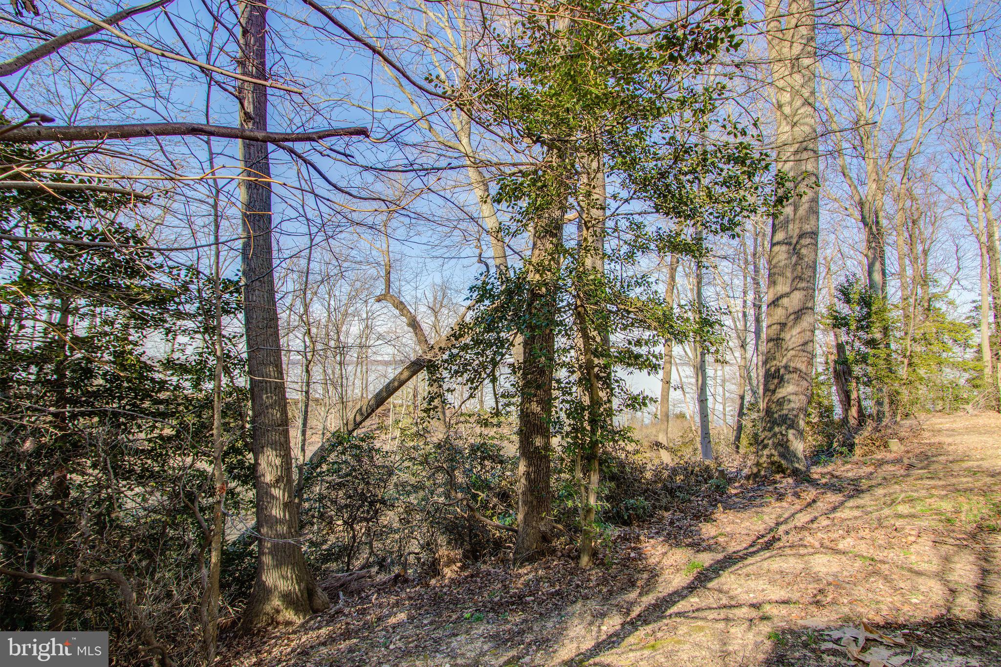 22 Rivers Edge Terrace Indian Head, MD 20640 - Photo 43 of 44 Rear View of home backs to nature & Potomac River