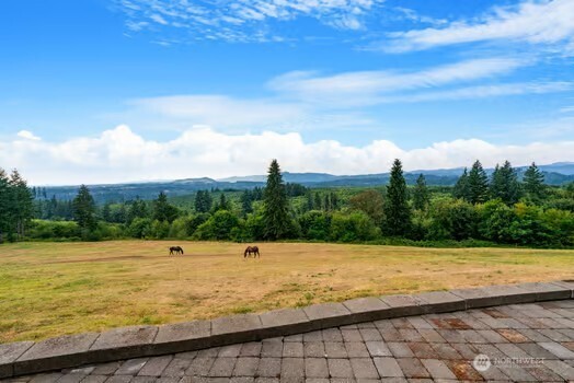 33510 Northeast Kelly Road Yacolt, WA 98675 - Photo 15 of 39 Gallery Image 15