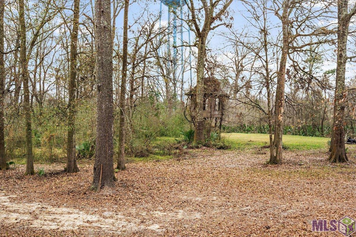 24963 Spillers Ranch Road Denham Springs, LA 70726 - Photo 29 of 37