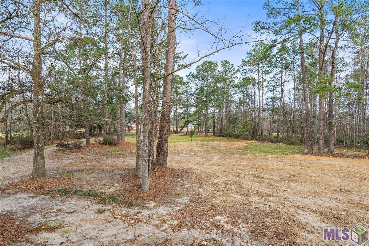 24963 Spillers Ranch Road Denham Springs, LA 70726 - Photo 5 of 37