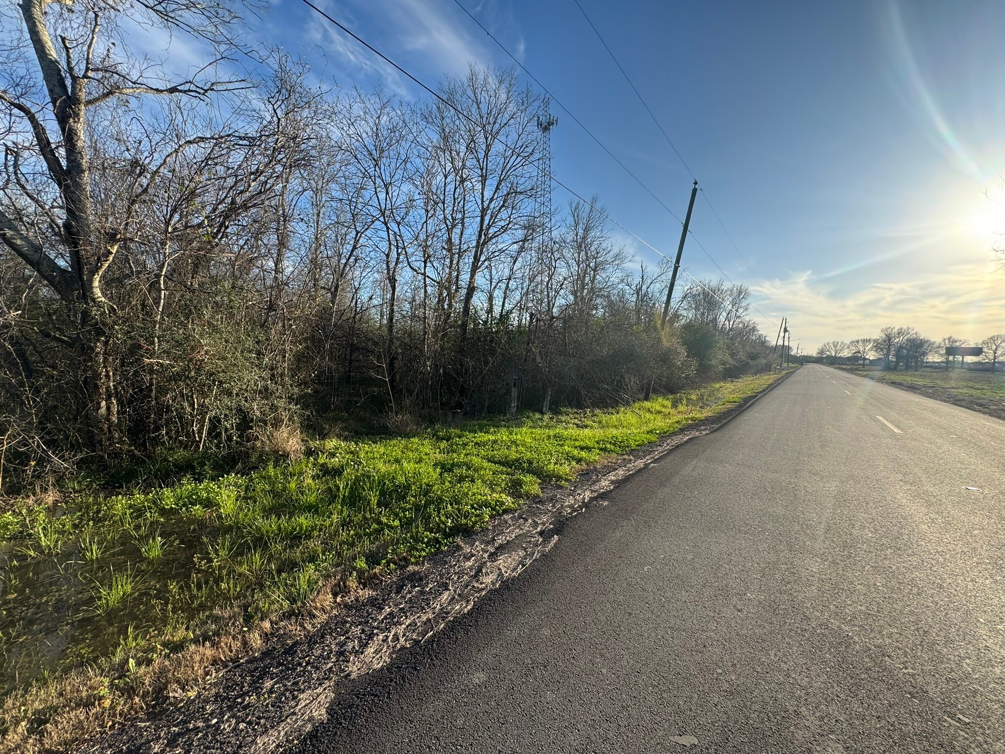 a view of a garden with a bench