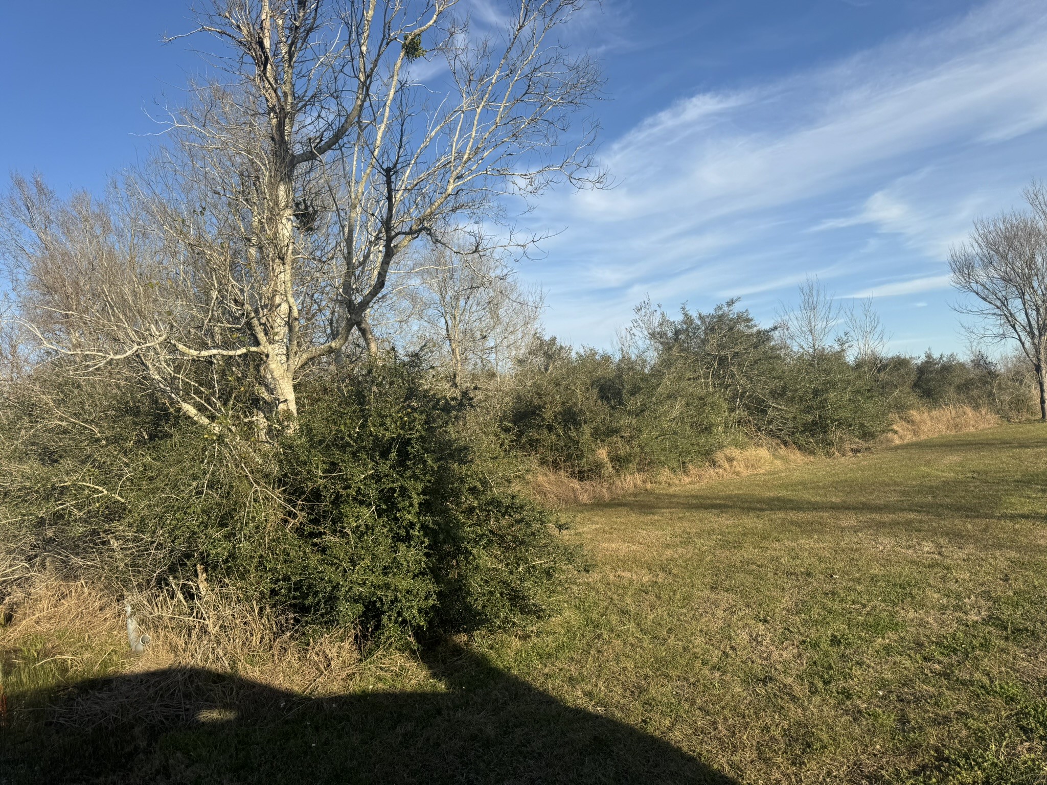 13622 Charlie Roberts Lane Kendleton, TX 77435 - Photo 6 of 8 a view of lake view with lots of trees
