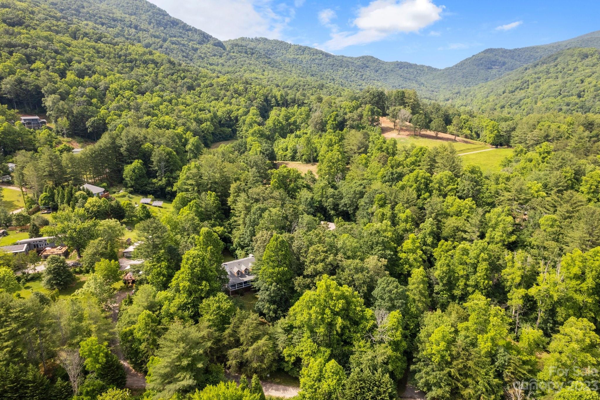 73 Shope Road Asheville, NC 28805 - Photo 48 of 48 Gallery Image 48