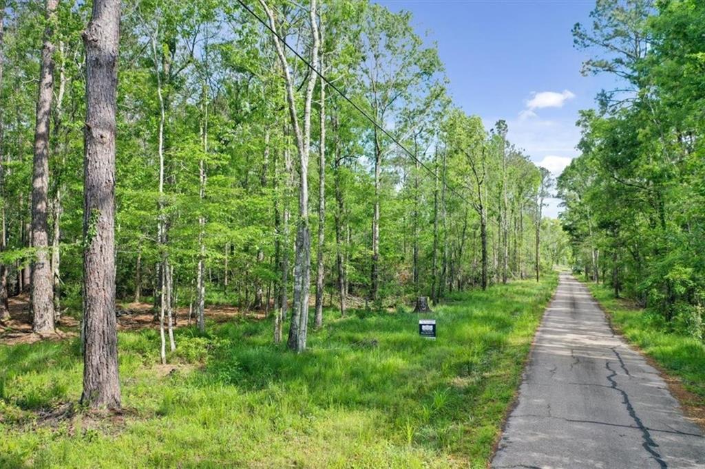 24691 Abernathy Road Springfield, LA 70462 - Photo 2 of 10