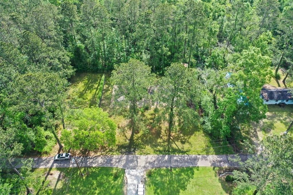 24691 Abernathy Road Springfield, LA 70462 - Photo 4 of 10