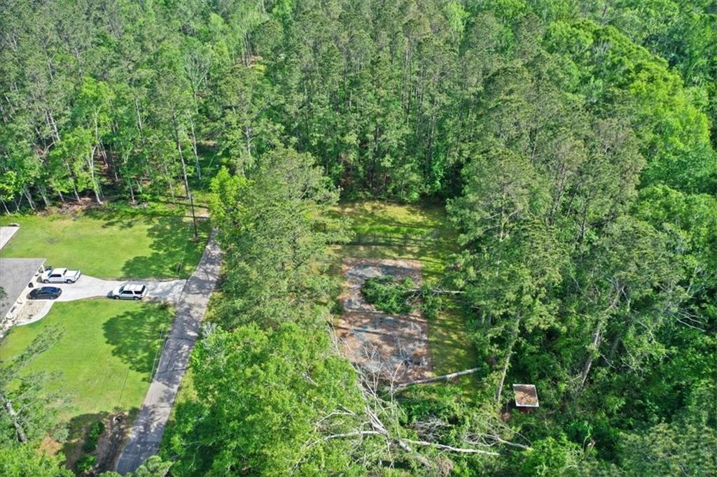 24691 Abernathy Road Springfield, LA 70462 - Photo 5 of 10