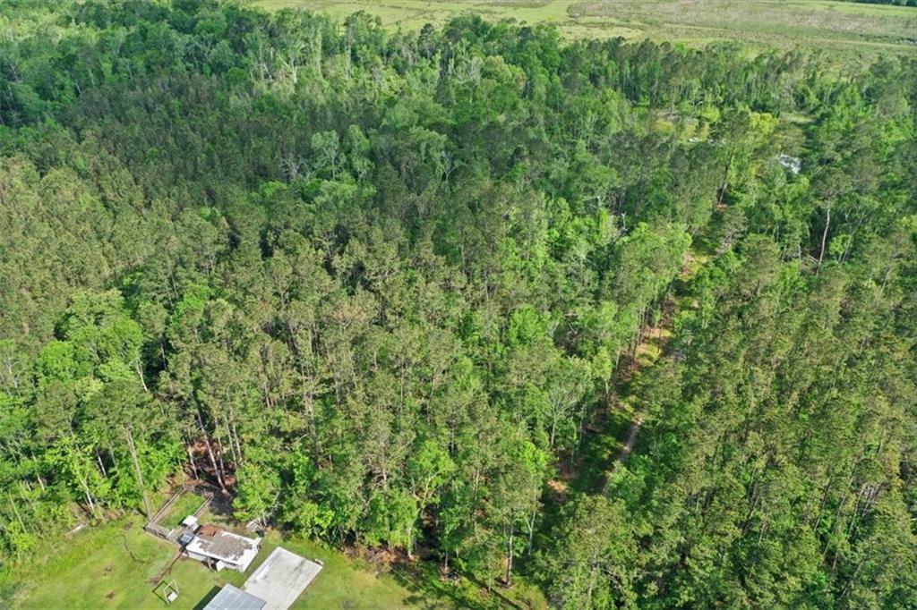 24691 Abernathy Road Springfield, LA 70462 - Photo 7 of 10