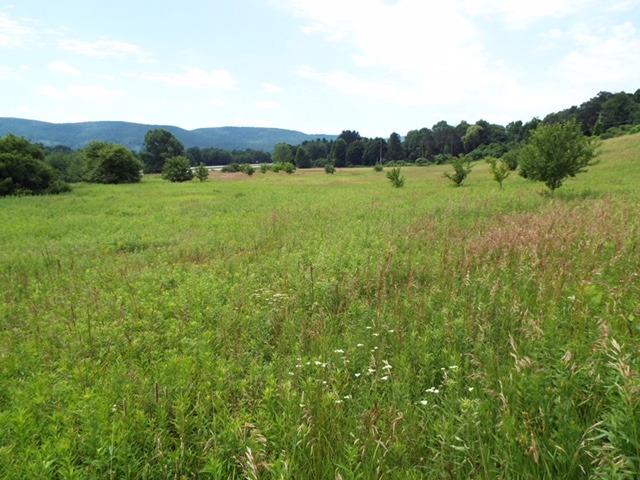 7 State Street Oneonta, NY 13820 - Photo 10 of 12