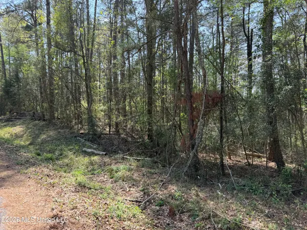 $25,000 | 1967 Smith Cr, Mount Olive, MS 39119