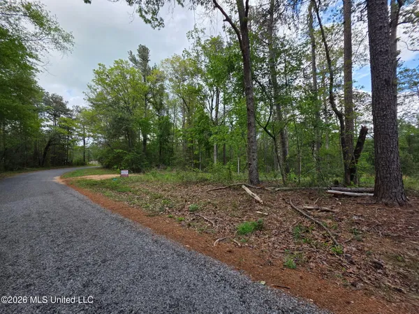 $25,000 | 1967 Smith Cr, Mount Olive, MS 39119