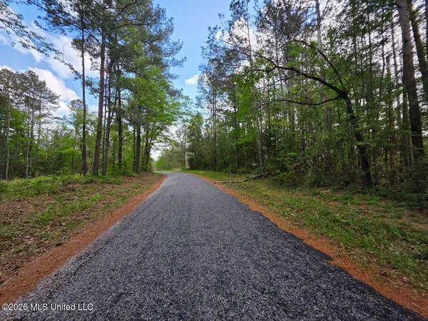$25,000 | 1967 Smith Cr, Mount Olive, MS 39119