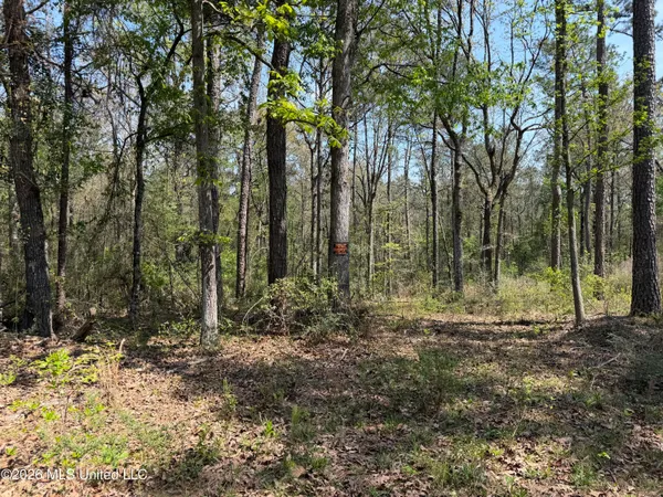 $25,000 | 1967 Smith Cr, Mount Olive, MS 39119