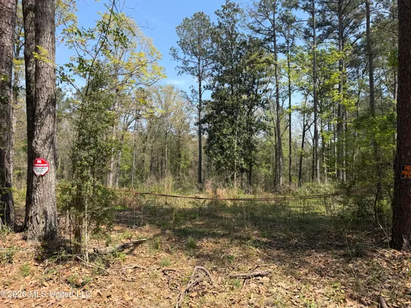 $25,000 | 1967 Smith Cr, Mount Olive, MS 39119